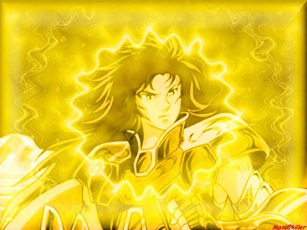 chevaliers du zodiaques